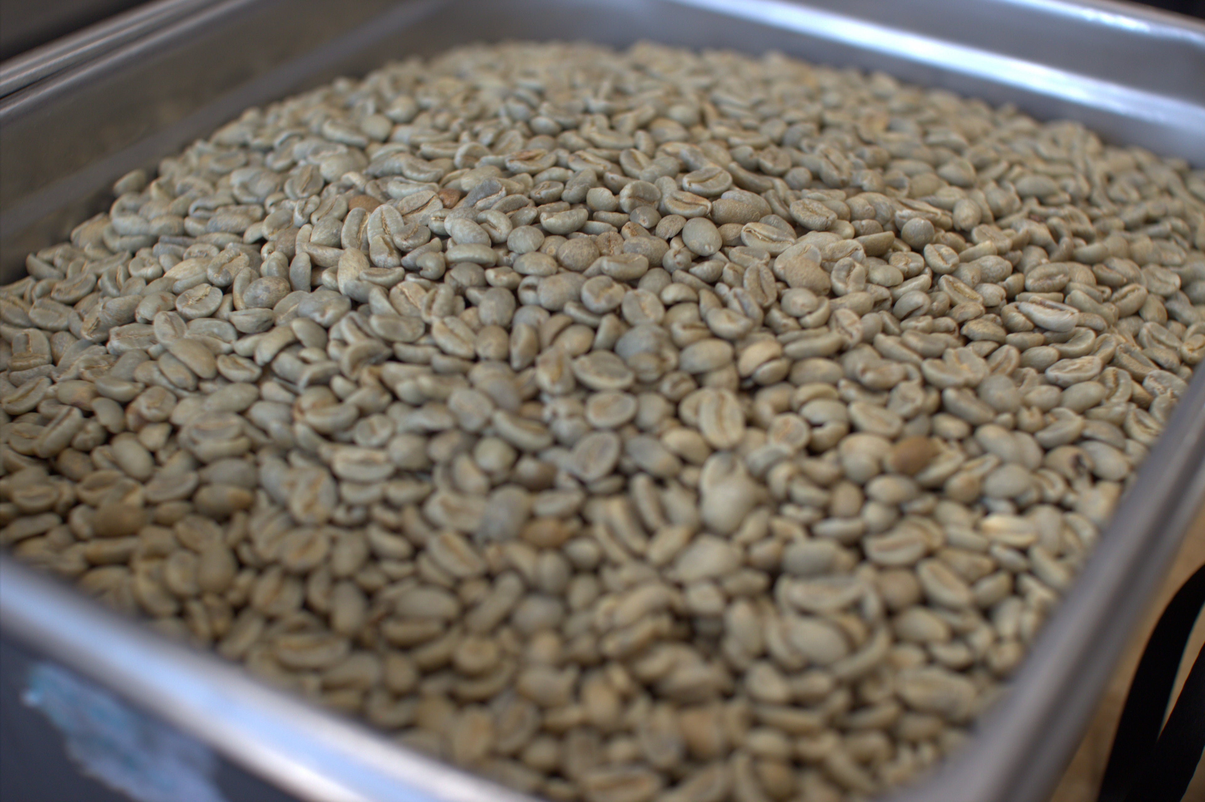 Unroasted Green Coffee - Variety Catuai Farm: El Cielito