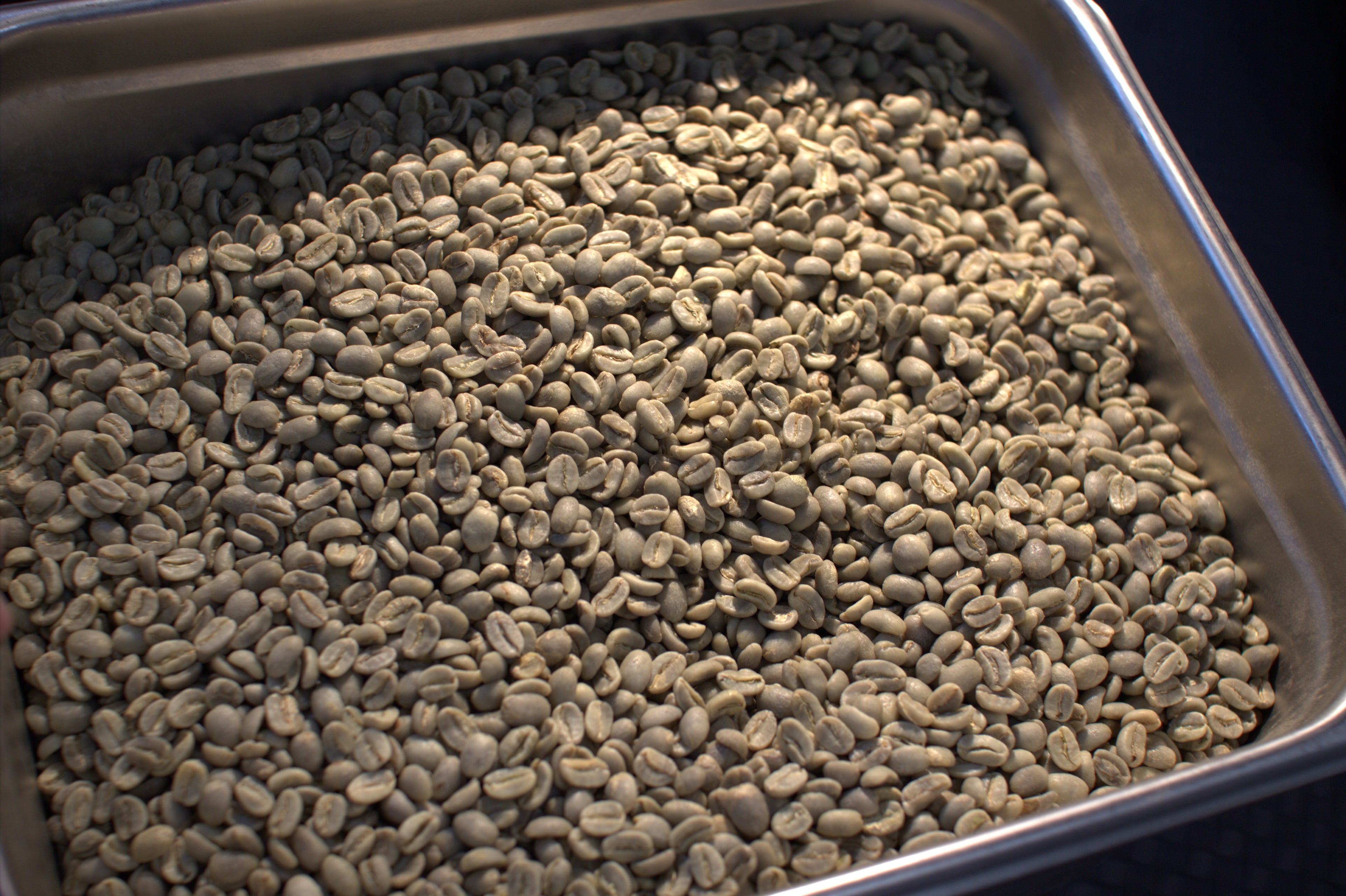 Unroasted Green Coffee - Variety Catuai Farm: El Cielito